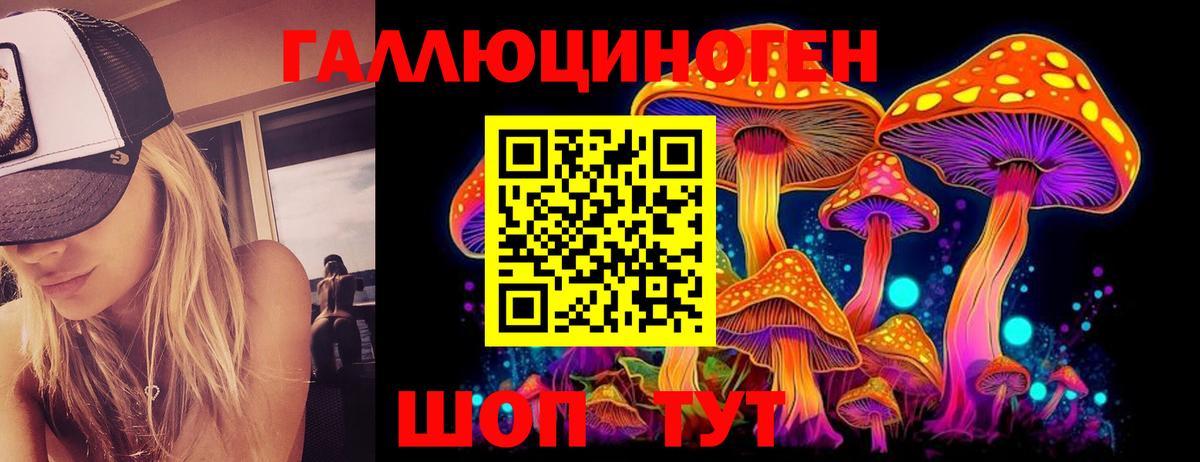 Азнакаево  Галлюциногенные грибы Psilocybine cubensis  Вход с VPN  Псилоцибиновые грибы мицелий 