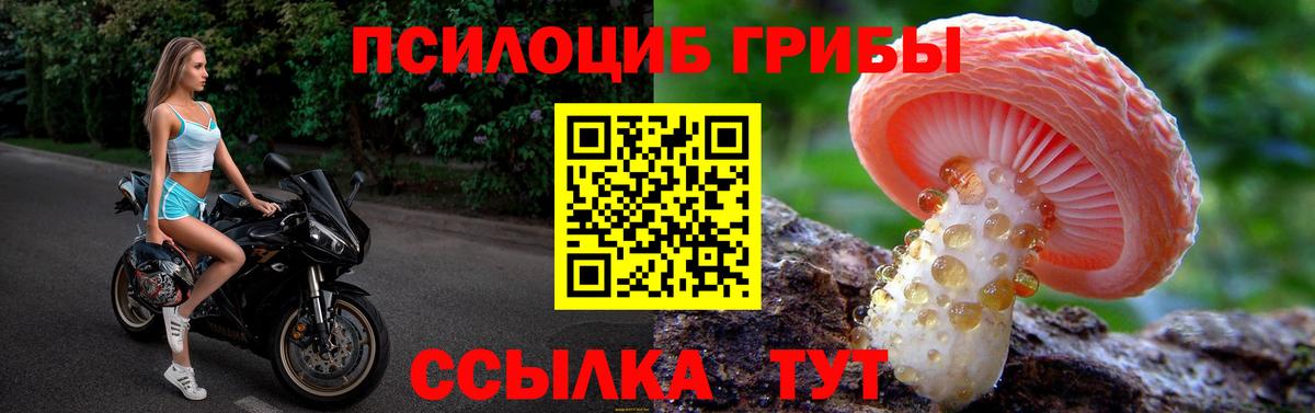 Галлюциногенные грибы Magic Shrooms Азнакаево